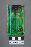 藏品(溪頭餐廳火柴盒)的圖片