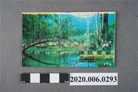 藏品(溪頭餐廳火柴盒)的圖片