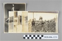 藏品(宜蘭農林學校接受軍事訓練之照片)的圖片