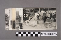 藏品(日治時期臺灣黑白風景明信片)的圖片