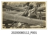 藏品(鋸木頭明信片)的圖片