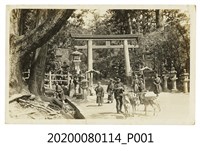 藏品(數人於鳥居前餵鹿明信片)的圖片