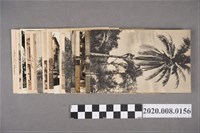 藏品(早期新加坡黑白風景明信片)的圖片