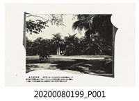 藏品(臺北植物園)的圖片