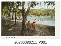 藏品(新京兒玉公園明信片)的圖片