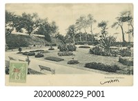 藏品(植物園一隅)的圖片