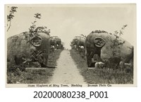 藏品(南京明孝陵石象)的圖片