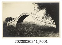 藏品(陸橋一景)的圖片