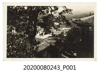 藏品(園內一隅)的圖片