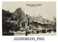 藏品(芝加哥動物園)的圖片