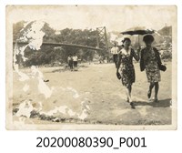 藏品(新莊 碧潭橋)的圖片