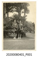 藏品(北一女學生於總統府前介壽公園合照)的圖片