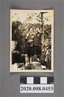 藏品(女學生於樹下合照)的圖片