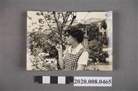 藏品(女子於樹間獨照)的圖片