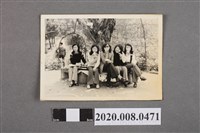 藏品(五人於樹下合影)的圖片