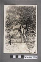 藏品(女子於樹林間獨照)的圖片