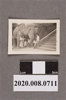 藏品(家庭於大象雕塑前合影)的圖片