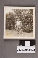 藏品(孩童獨照)的圖片