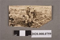 藏品(校外教學一景)的圖片