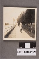 藏品(女子獨照)的圖片