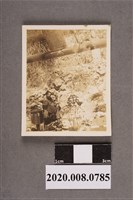 藏品(男子獨照)的圖片