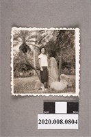 藏品(女子於樹下合照)的圖片