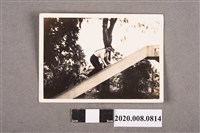 藏品(女子遊玩照)的圖片