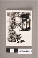 藏品(孩童獨照)的圖片