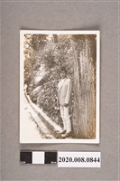 藏品(男子獨照)的圖片