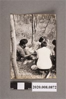 藏品(野餐一景)的圖片