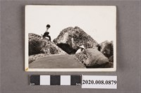 藏品(2名男子合照)的圖片