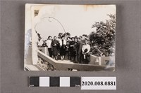 藏品(男女合照)的圖片