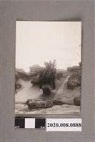 藏品(5名男子合照)的圖片