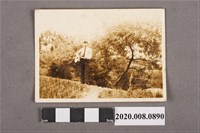 藏品(男子彈奏樂器照)的圖片