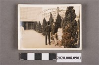 藏品(3名男子聊天照)的圖片