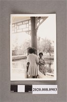 藏品(3名女子合照)的圖片