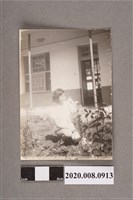 藏品(女子獨照)的圖片