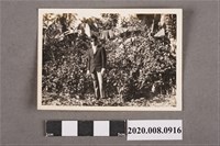 藏品(男子獨照)的圖片