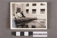 藏品(3名男女合照)的圖片