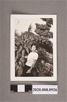 藏品(女子獨照)的圖片