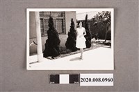 藏品(女子獨照)的圖片