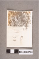 藏品(女子獨照)的圖片