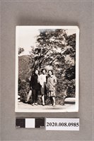 藏品(3名女子合照)的圖片