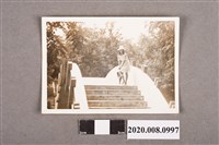 藏品(女子獨照)的圖片