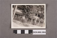 藏品(女童獨照)的圖片