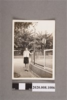 藏品(女子獨照)的圖片