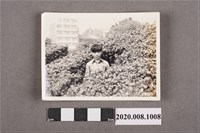 藏品(男子獨照)的圖片