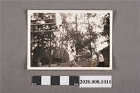 藏品(男子打球一景)的圖片