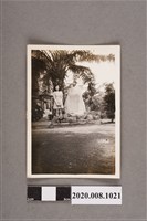 藏品(女子獨照)的圖片