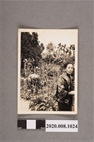 藏品(女子獨照)的圖片